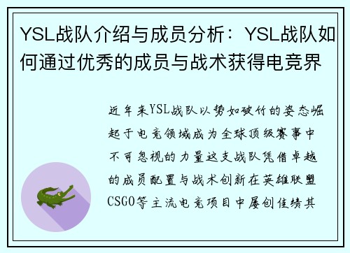 YSL战队介绍与成员分析：YSL战队如何通过优秀的成员与战术获得电竞界认可
